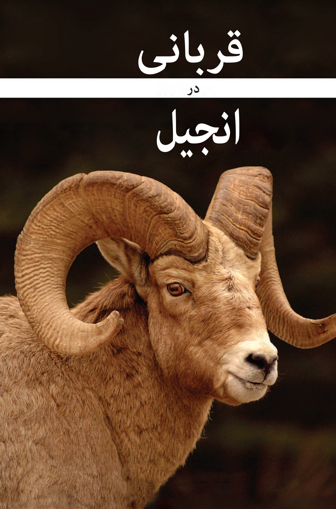 Adha In The Injeel (Farsi) (E-Book)