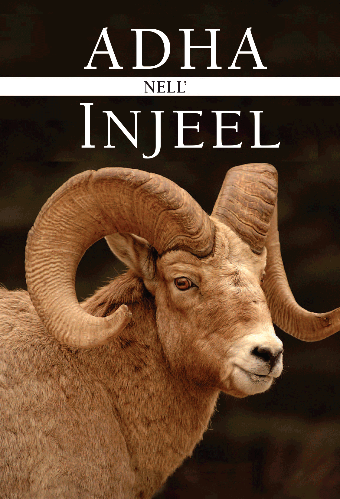 Adha in the Injeel (English) (E-Book)
