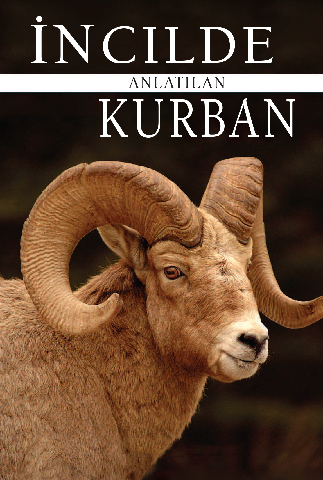 Adha in the Injeel (Turkish) (E-Book)