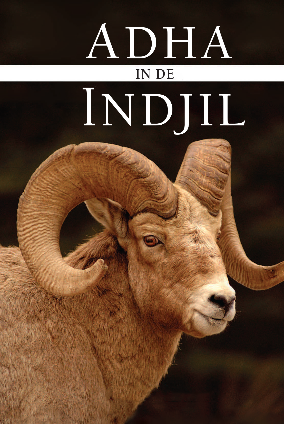 Adha In The Injeel (Dutch) (E-Book)