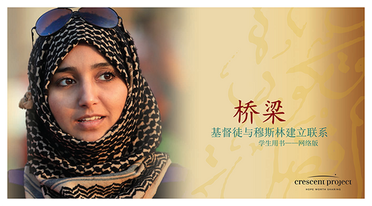 Bridges Sessions (Chinese)